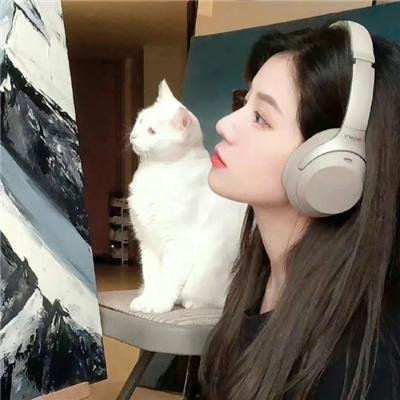 内阁作战室 第一季